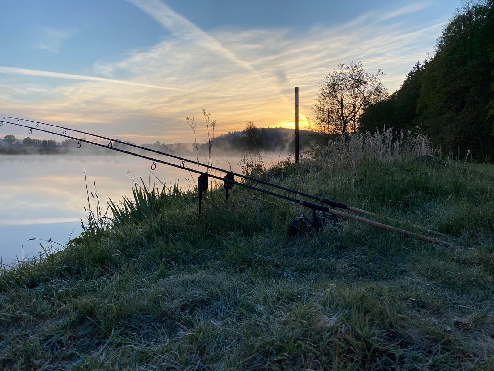 Richtiger Platz beim Karpfenfischen